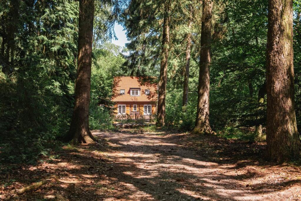 Fantastisch Familiehuis Met Grote Tuin I Bosrijk Lunteren Ngoại thất bức ảnh
